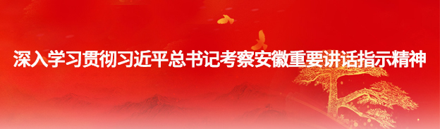 深入学习贯彻习近平总书记考察安徽重要讲话指示精神